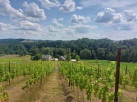 Winnica Kosmos